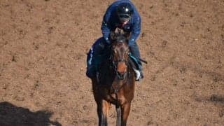 リアリーホットなど、先週のゲート試験/栗東トレセンニュース