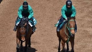 スピードリッパーの2020など、先週の入厩情報/栗東トレセンニュース