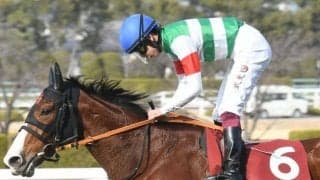 【桜花賞予想オッズ】チューリップ賞Vのナミュールが予想1番人気