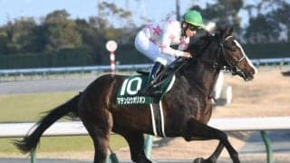 【ニュージーランドT予想オッズ】マテンロウオリオンが予想1番人気