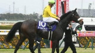 【桜花賞】2歳女王サークルオブライフ 「鉄の女」につながるパワフルな米国牝系