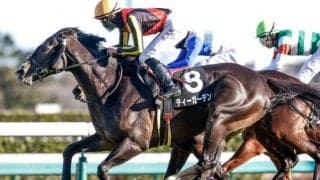 【ニュージーランドT展望】好走条件に合うあの馬に期待したい