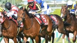 【マイラーズC想定】前年覇者ケイデンスコール、一昨年2歳王者ダノンザキッドなど15頭