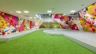 関西最大級のクライミングジム「ディーボルダリングプラスリード なんば」がオープン