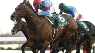 【JRA】重賞2勝馬セダブリランテスが引退、ノーザンホースパークで乗馬に