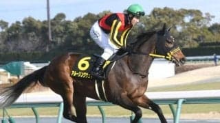 【桜花賞予想】AIが挙げた魅力十分な伏兵の一発に期待！