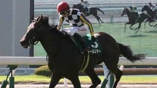 アールスターが競走馬登録抹消