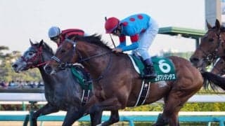 セダブリランテスが競走馬登録抹消