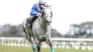 【次走】リフレイムはヴィクトリアマイルか京王杯SCへ 父は2015年アメリカ三冠馬