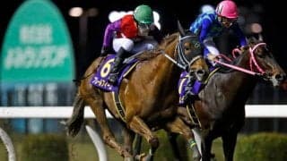 【川崎・クラウンC結果】浦和のフレールフィーユが差し切って重賞初制覇