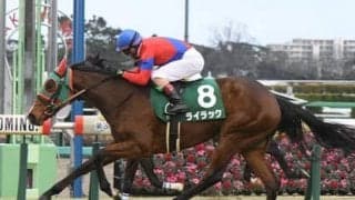 桜花賞は父系・母系も「縁がある血」で本命を決める。前走で「２歳女王」に先着した激走馬にも期待