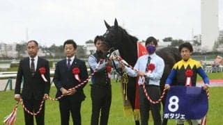 敗因と勝因/島田明宏