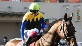 【次走】9歳のダービー馬マカヒキは宝塚記念か札幌記念へ