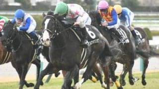 【ニュージーランドT出走馬・騎手確定】マテンロウオリオン＆横山典弘騎手、リューベック＆吉田隼人騎手など11頭