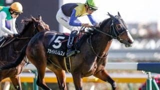 【阪神牝馬S出走馬・騎手確定】アカイトリノムスメ＆戸崎圭太騎手、アンドヴァラナウト＆福永祐一騎手など12頭
