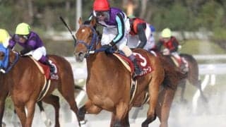 【園田・菊水賞結果】ベルレフォーンが差し切って一冠目を制す