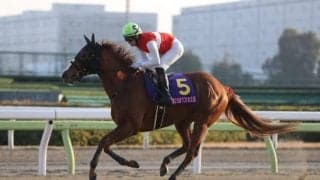 【船橋・マリーンC出走予定馬】ショウナンナデシコ、クールキャットら