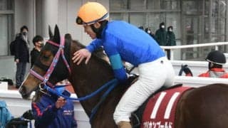 【次走】京都記念覇者アフリカンゴールドは放牧を挟み宝塚記念への参戦を視野に