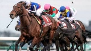 【次走】重賞2勝馬キングオブコージは放牧を挟んで宝塚記念を視野に