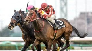 【次走】前走でOP入りのエヴァーガーデンは福島牝馬Sへの参戦を視野