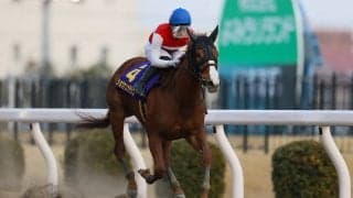 【マリーンC】JRA出走予定馬