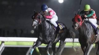 【東京スプリント】前年覇者リュウノユキナ、交流重賞6勝サクセスエナジーなどが選定