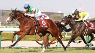 【桜花賞】出走馬の調教後の馬体重