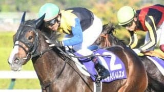 【阪神牝馬S枠順確定】アカイトリノムスメは5枠5番、アンドヴァラナウトは2枠2番