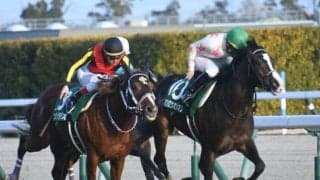 【ニュージーランドT枠順確定】マテンロウオリオンは1枠1番、リューベックは6枠7番