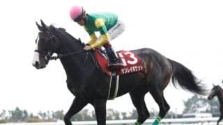 【次走】サンレイポケットは鳴尾記念へ その後は宝塚記念を視野