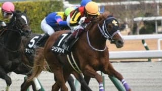 【次走】シンザン記念2着ソリタリオはNHKマイルカップ参戦を視野に