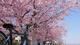 おひとりさまライド～春の越谷サイクルカフェめぐり