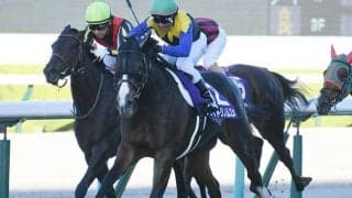 【阪神牝馬S予想】アカイトリノムスメ復帰初戦も…。関東馬に立ち塞がる「鬼門レース」
