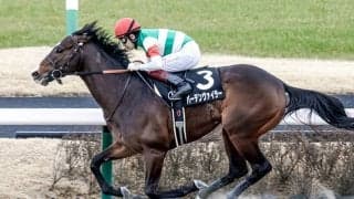 【アンタレスS想定】GI馬オメガパフュームは横山和生騎手と新コンビ、3連勝中バーデンヴァイラーは幸英明騎手