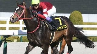 【ニュージーランドT予想】距離の壁が好走を阻む!? 近年「傾向一変」の消去条件とは