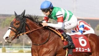 【桜花賞】ナミュールは大外8枠18番へ