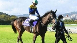 【今日の注目ポイント】中山でニュージーランドT、阪神では阪神牝馬S