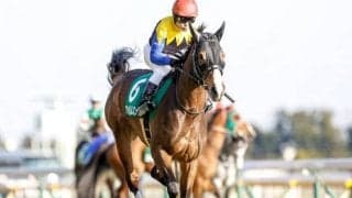 【阪神牝馬S予想】GIへ向けて勢い付けたい女王候補が集結