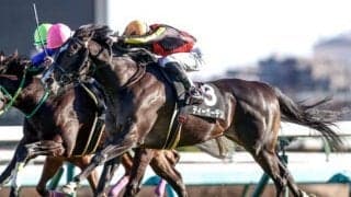 【ニュージーランドT予想】毎年波乱必至の3歳マイル重賞