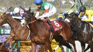 【桜花賞予想】ナミュール大外で波乱も十分!? 馬場次第では「穴馬台頭」も…