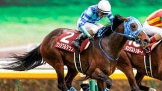 ワンダフルタウンが新潟大賞典の出走を断念　復帰は夏以降に