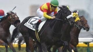 【次走】エリカヴィータはフローラSへ　キングカメハメハ産駒最後のセレクトセール上場馬