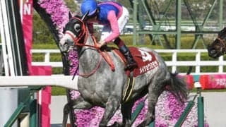 【阪神牝馬S結果】9番人気メイショウミモザが内から抜け出て重賞初出走V