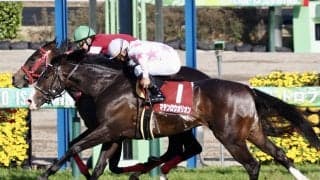 【ニュージーランドT】「ウマ娘」藤田晋氏が重賞初勝利！ジャングロで逃げ切る！