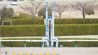 【阪神牝馬S】メイショウミモザが勝利で波乱！アカイトリノムスメは競走除外