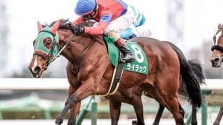 【桜花賞予想】小型馬は劣勢!? あわせ技で評価を落とす人気馬は…
