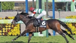 【船橋S】ジュビリーヘッドがオープン入り