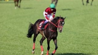 【ニュージーランドT】武豊「差し返してくれた」ジャングロが重賞初制覇