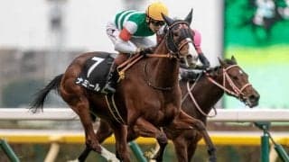 【桜花賞予想】スピードと瞬発力を競う桜の女王決定戦