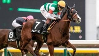 【桜花賞予想】圧倒的に強いのは2番人気馬？上位3頭馬番には謎のリズムが発生中？